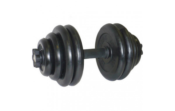 Гантель разборная 30 кг MB Barbell Диски обрезиненные, черный 600_380