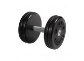 Гантель классик с вращающейся ручкой хром 21 кг MB Barbell MB-FdbEM-B21