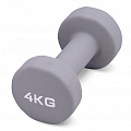 Гантель для аэробики неопреновая 4 кг PRCTZ NEOPRENE DUMBBELL PS7125 120_120