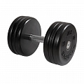 Гантель MB Barbell классик с вращающейся ручкой\хром черная 31 кг MB-FdbEM-B31 120_120